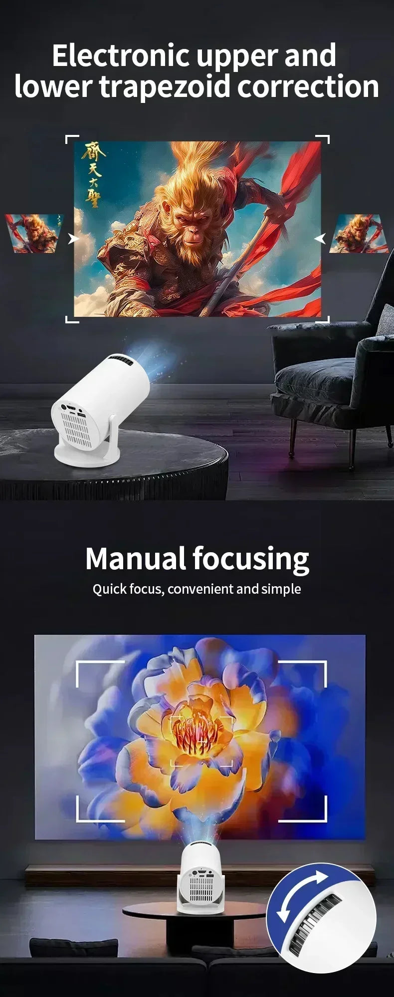 Portable & Mini Projector