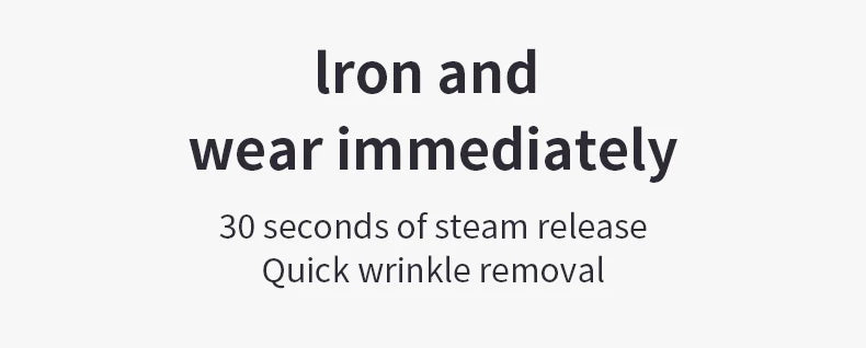 Portable Hand Steamer