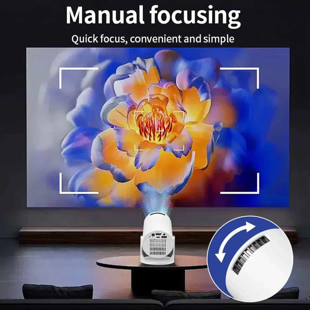 Portable & Mini Projector