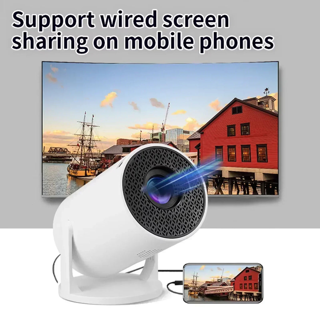 Portable & Mini Projector